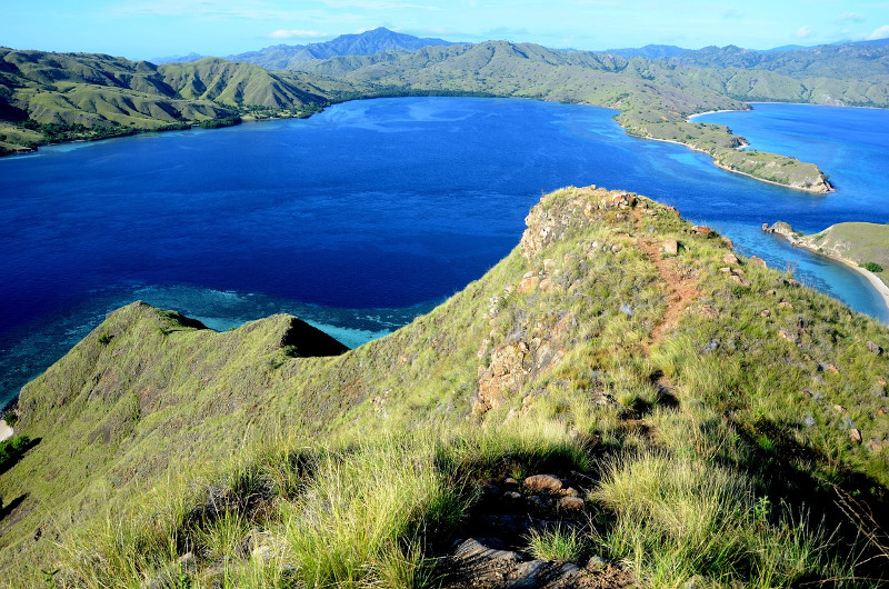 Komodo Island, Pulau Komodo Indonesia