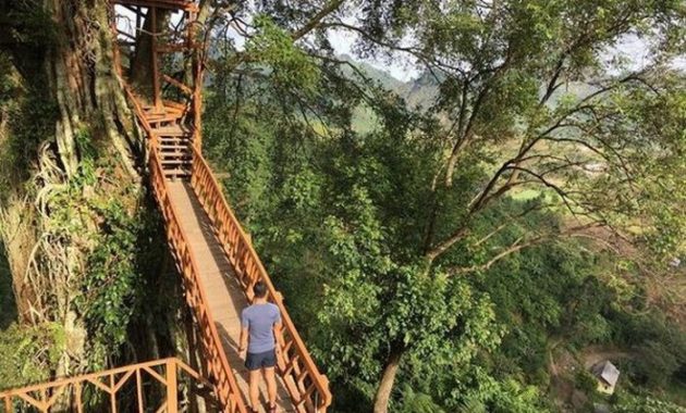 10 Tempat Wisata Menarik di Bogor istagramable
