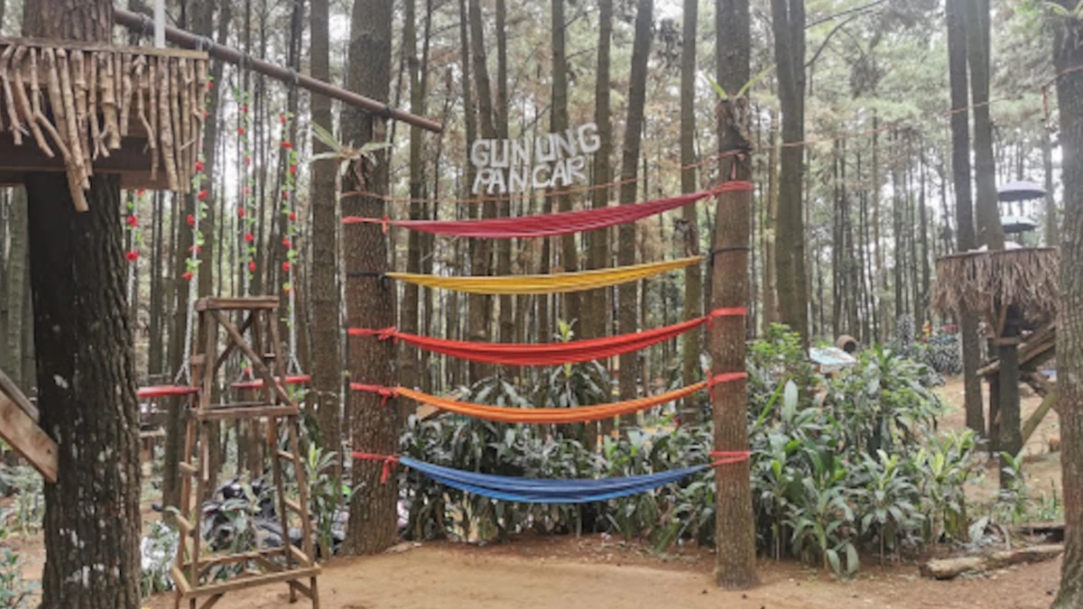wisata gunung pancar