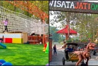 wisata jati ombo Lokasi dan Harga Tiket Wisata Jati Ombo Parung Bogor
