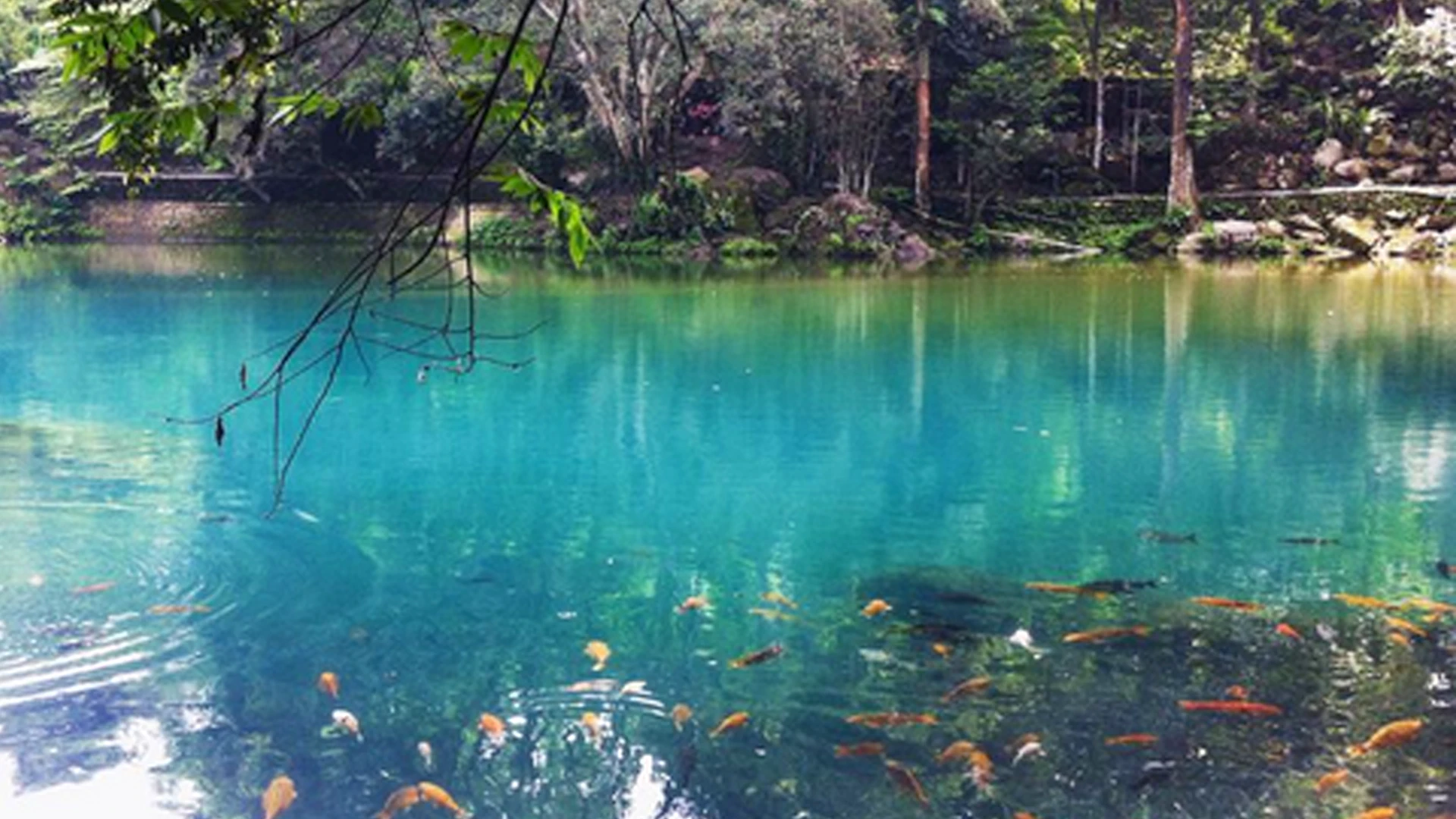 Temapat wisata di kuningan telaga Cicerem