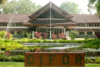 Wisata Alam Hutan CIFOR Bogor: Tiket Gratis, Jam Buka Fleksibel & Fasilitas Rindang yang Bikin Nagih!