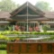 Wisata Alam Hutan CIFOR Bogor: Tiket Gratis, Jam Buka Fleksibel & Fasilitas Rindang yang Bikin Nagih!