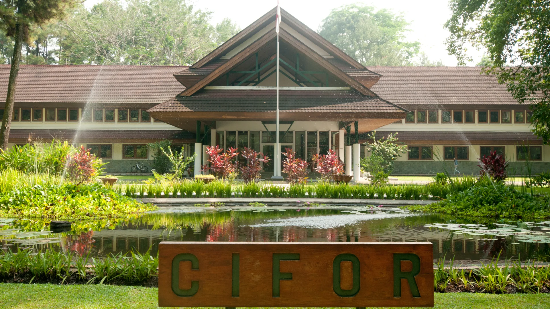 Wisata Alam Hutan CIFOR Bogor: Tiket Gratis, Jam Buka Fleksibel & Fasilitas Rindang yang Bikin Nagih!