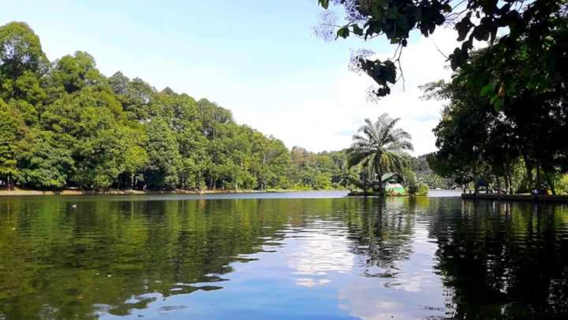 Situ GEDE CIFOR BOGOR