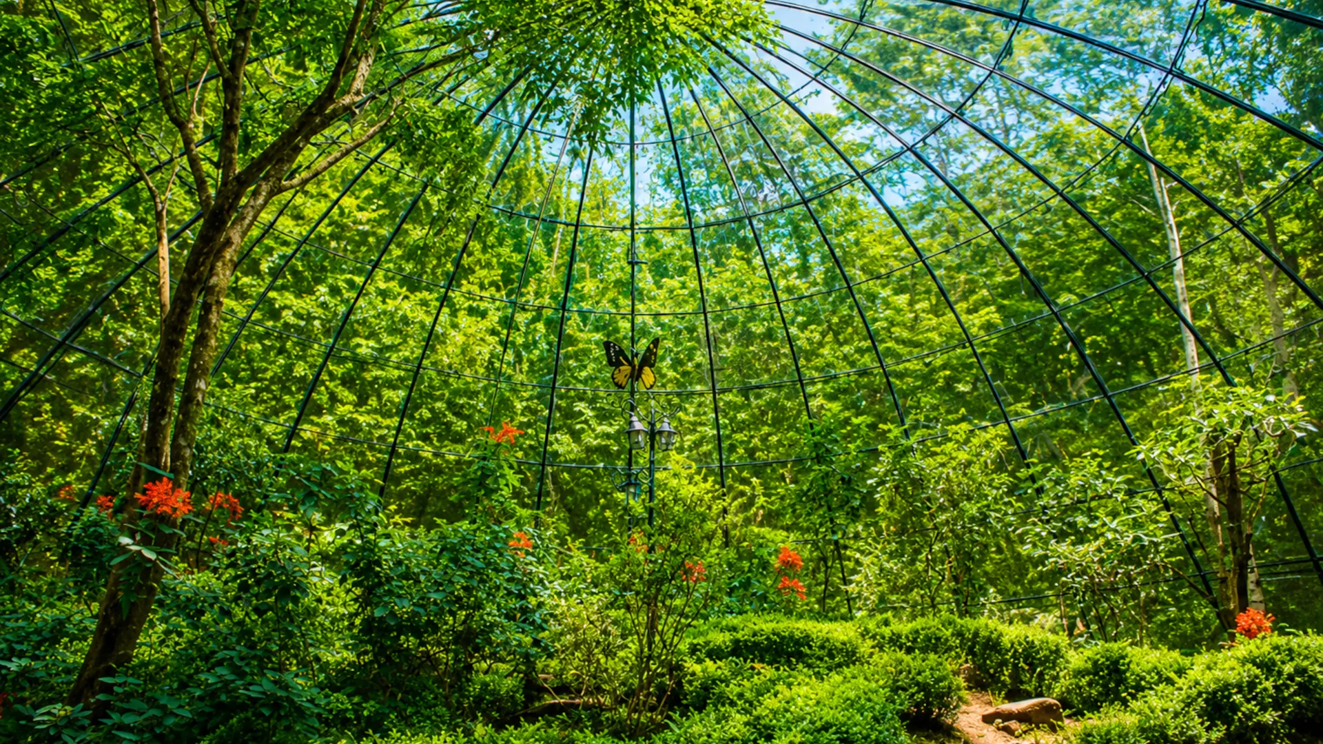 butterfly dome curug cilember